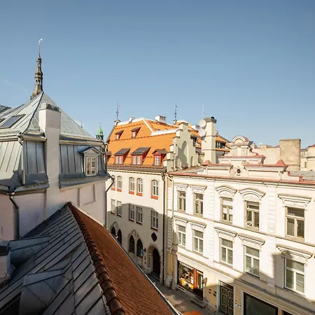 Airhome - Library * Tallinn